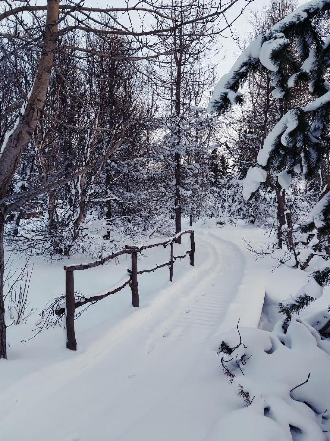 Bakkakot 2 - Cozy Cabins In The Woods Akureyri Dış mekan fotoğraf