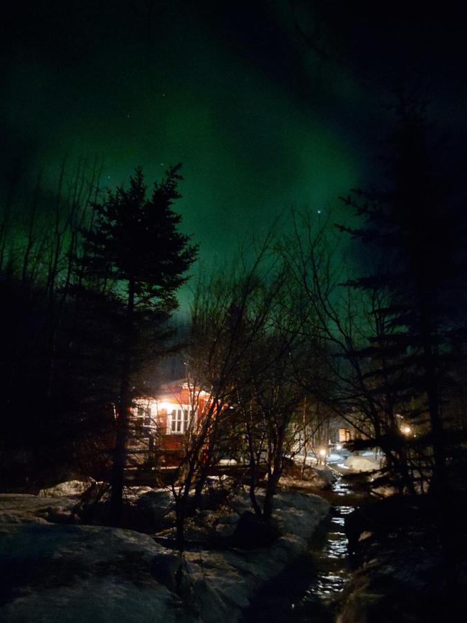 Bakkakot 2 - Cozy Cabins In The Woods Akureyri Dış mekan fotoğraf