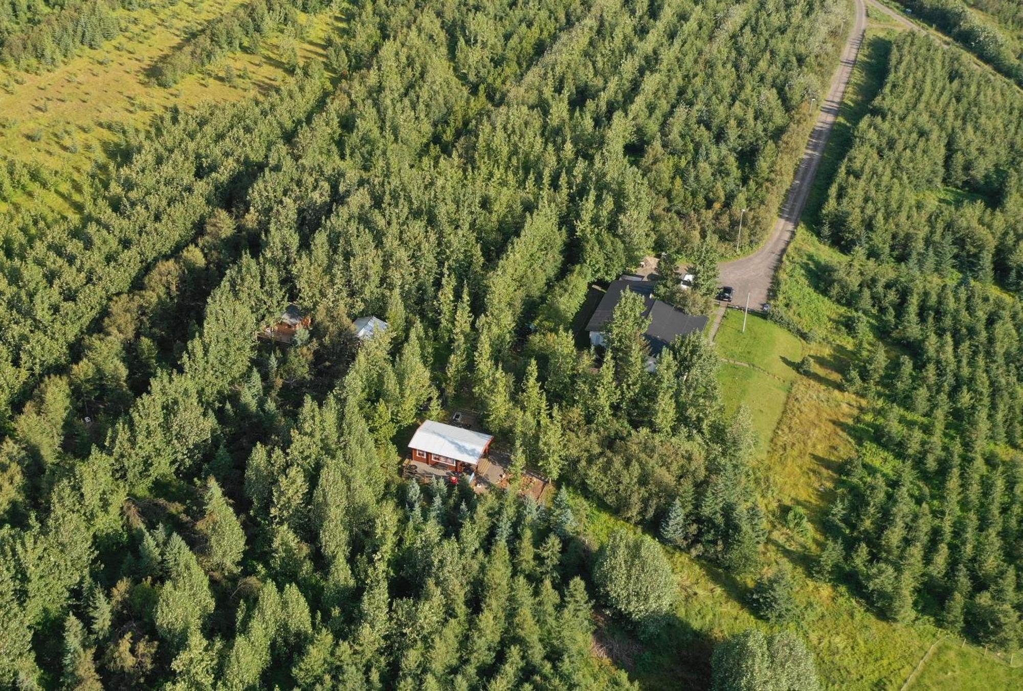 Bakkakot 2 - Cozy Cabins In The Woods Akureyri Dış mekan fotoğraf